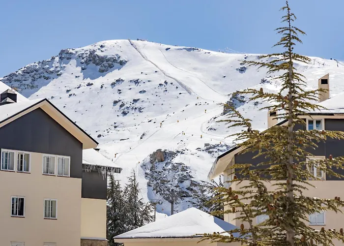 BiBo Suites Sierra Nevada